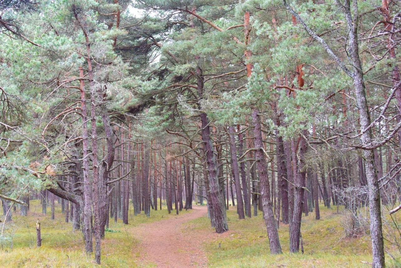 Vila Dia Palanga Esterno foto